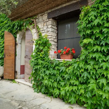 Bomba Vista 8 By Interhome Appartement